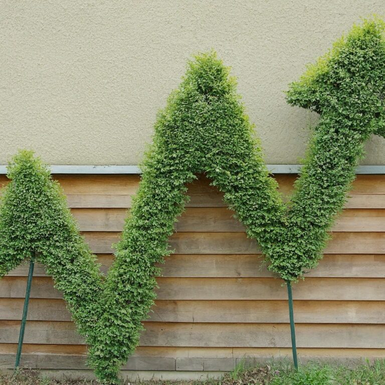 How to Increase Your Home’s Value by 15%